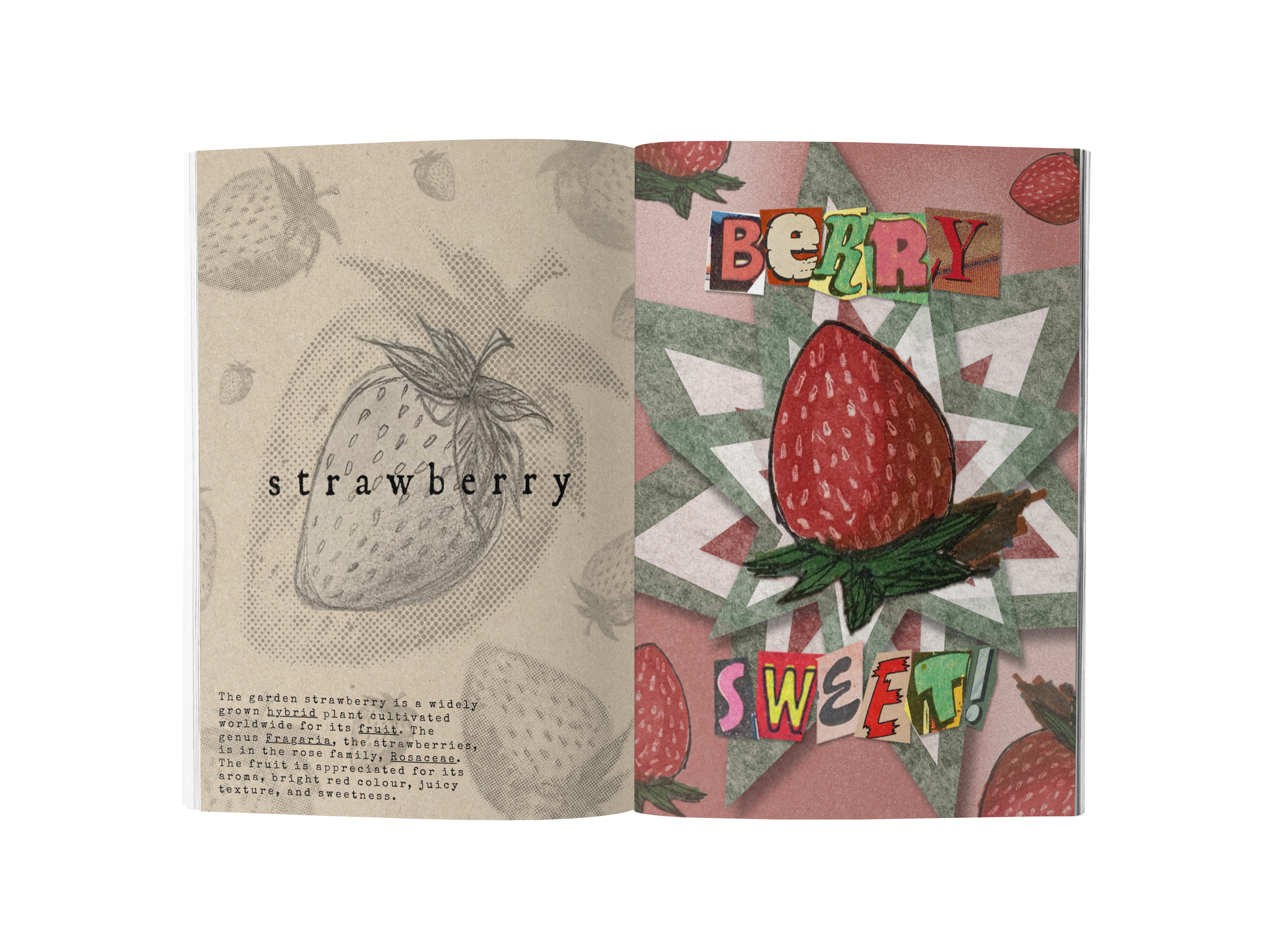Strawberry Season, image 3 of 5